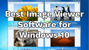 Best Image Viewer Software for Windows 10