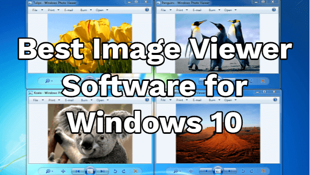 all image viewer software download